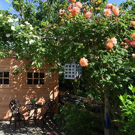 Wadden Eiland Bed En Breakfast Op Texel Oudeschild Екстер'єр фото