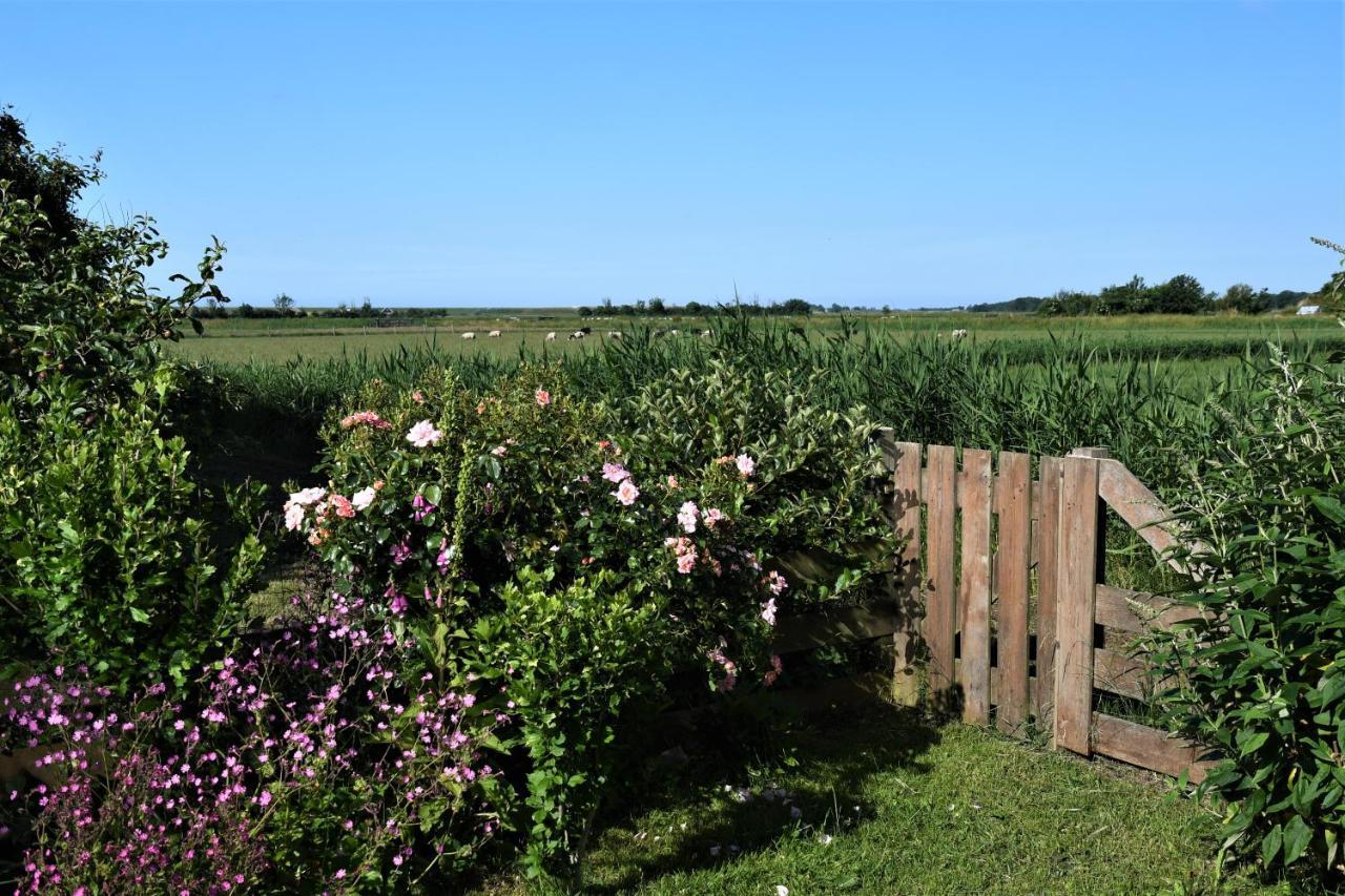 Wadden Eiland Bed En Breakfast Op Texel Oudeschild Екстер'єр фото
